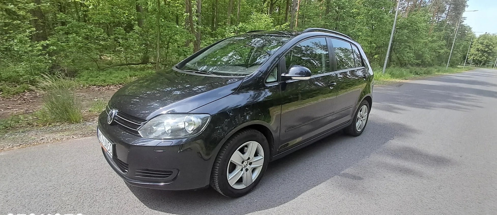 Volkswagen Golf Plus cena 21900 przebieg: 181200, rok produkcji 2009 z Brodnica małe 562